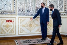   دیدار رافائل  گروسی با امیر عبدالهیان