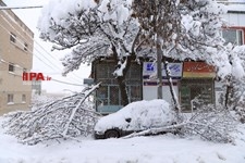   بارش برف در سنندج