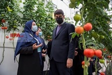   آغاز فعالیت شبکه گلخانه های هوشمند کوچک مقیاس