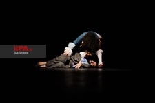   نمایش مارادونا