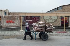   رونق کارگاه های قالیشویی در آستانه عید نوروز