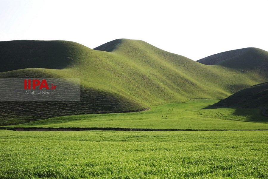   بهار در مراوه تپه استان گلستان 