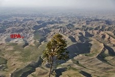   بهار در مراوه تپه استان گلستان 