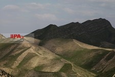   بهار در مراوه تپه استان گلستان 