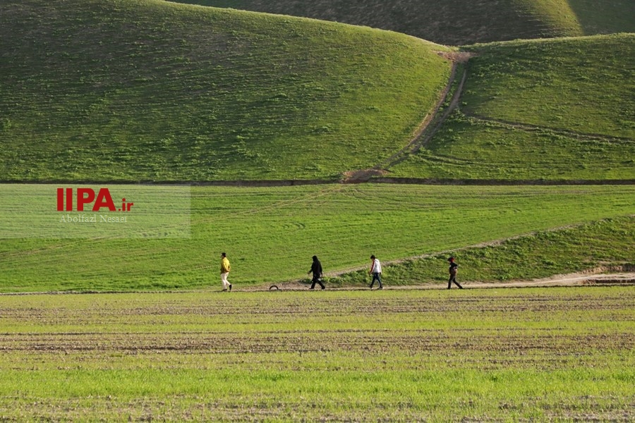   بهار در مراوه تپه استان گلستان 