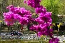   سیزده بدر 