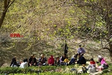   سیزده بدر 
