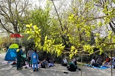   سیزده بدر 