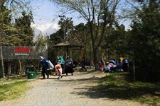  سیزده بدر 