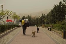   تهران غرق در گرد و غبار