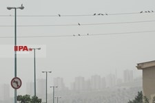   آلودگی هوای تهران