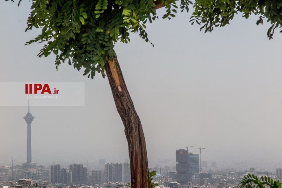   ریزگردها در آسمان تهران