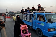   پیاده روی اربعین حسینی از نجف به سوی کربلا