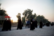   پیاده روی اربعین از مسیر طریق العلما