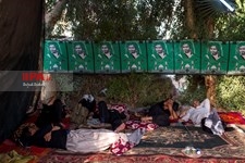  پیاده روی اربعین از مسیر طریق العلما