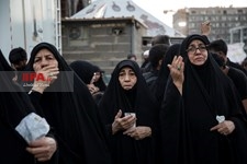   کربلای معلی در آستانه اربعین حسینی (ع)-2