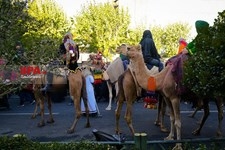   راهپیمایی اربعین در تهران