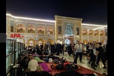   صحن حضرت فاطمه(س) نجف پذیرای زائران اربعین