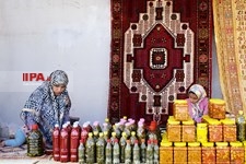     جشنواره وحدت اقوام ایرانی   