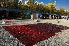     جشنواره وحدت اقوام ایرانی   
