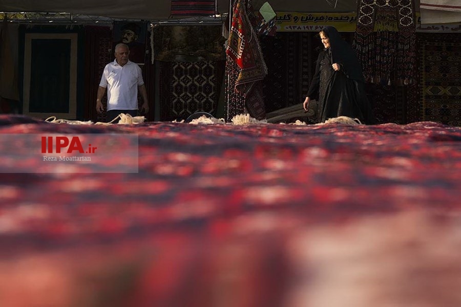     جشنواره وحدت اقوام ایرانی   