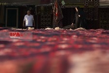     جشنواره وحدت اقوام ایرانی   