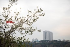   آلودگی هوای تهران 