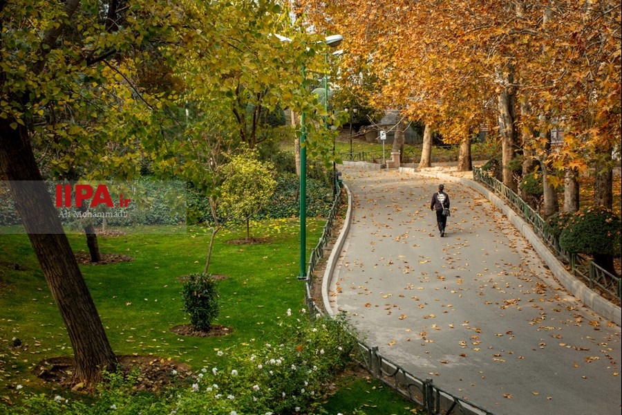   پاییز در تهران