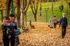   پاییز در تهران