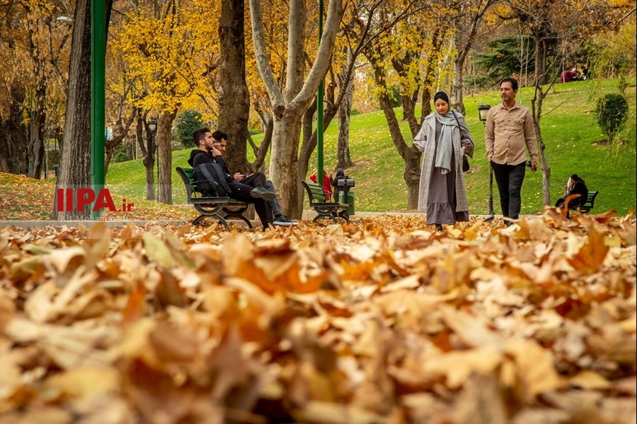   پاییز در تهران