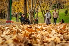   پاییز در تهران