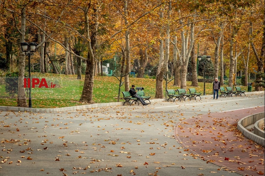   پاییز در تهران
