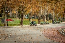   پاییز در تهران
