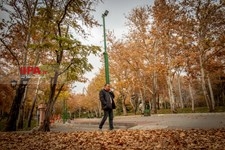   پاییز در تهران