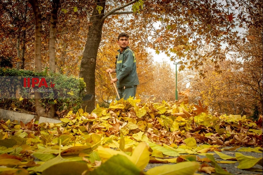   پاییز در تهران