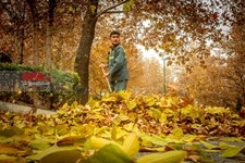   پاییز در تهران