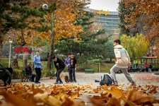   پاییز در تهران
