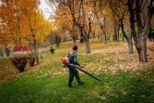   پاییز در تهران