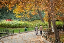   پاییز در تهران