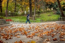   پاییز در تهران