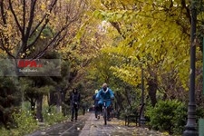   بارش باران در تهران 