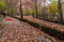   بارش باران در تهران 