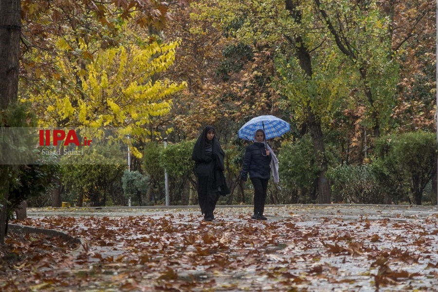   بارش باران در تهران 