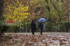   بارش باران در تهران 