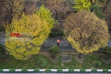   بارش باران در تهران 