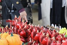   بازار گل تهران در آستانه شب یلدا 