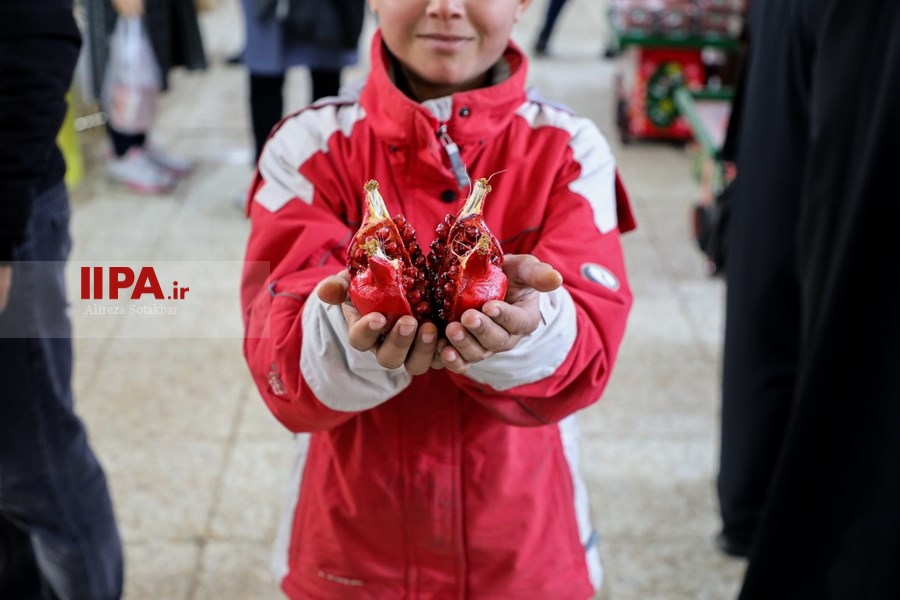   بازار گل تهران در آستانه شب یلدا 