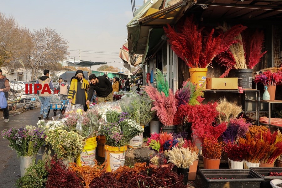   بازار گل تهران در آستانه شب یلدا 