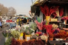   بازار گل تهران در آستانه شب یلدا 