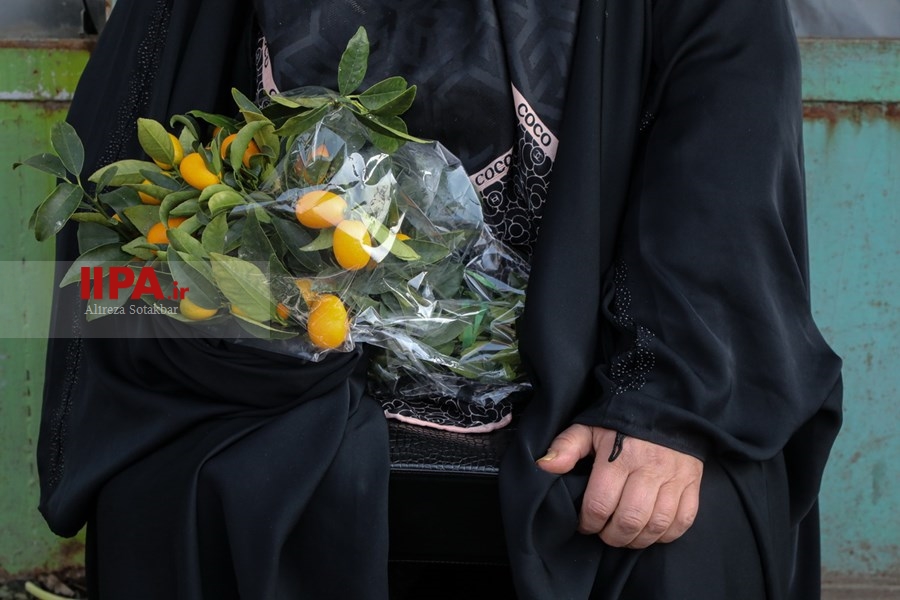  بازار گل تهران در آستانه شب یلدا 
